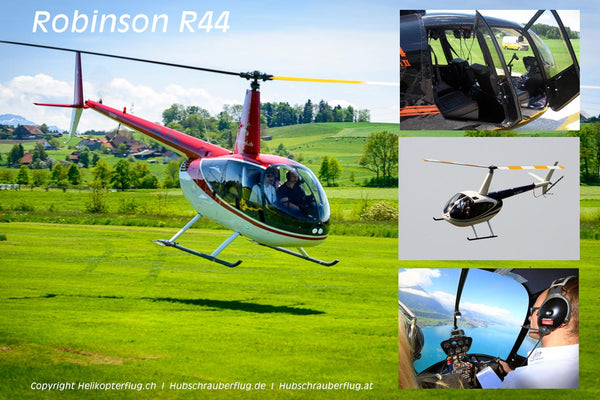 Übersicht Robinson R44