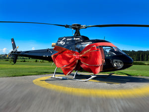 Helikopter Geschenk Logo